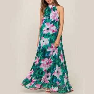 Entro Green and Pink Floral Maxi Dress